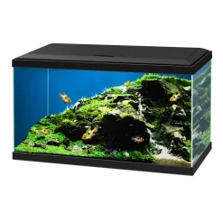Aquarium Aqua 60 LED 58 L schwarz 60 x 30 x 33,5 cm