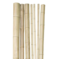 Bambusrohr 200x3-4cm