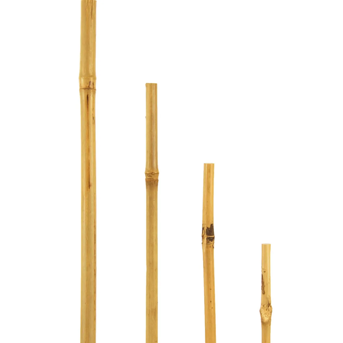 Bambusstab 60 cm