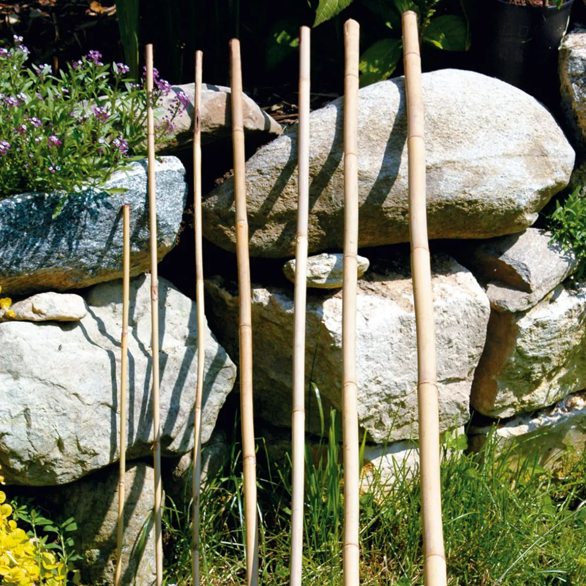 Bambusstab 120 cm