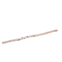 Birkenstamm Länge 180 cm Durchmesser 4-6 cm