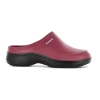 BlackfoxClog Mellow