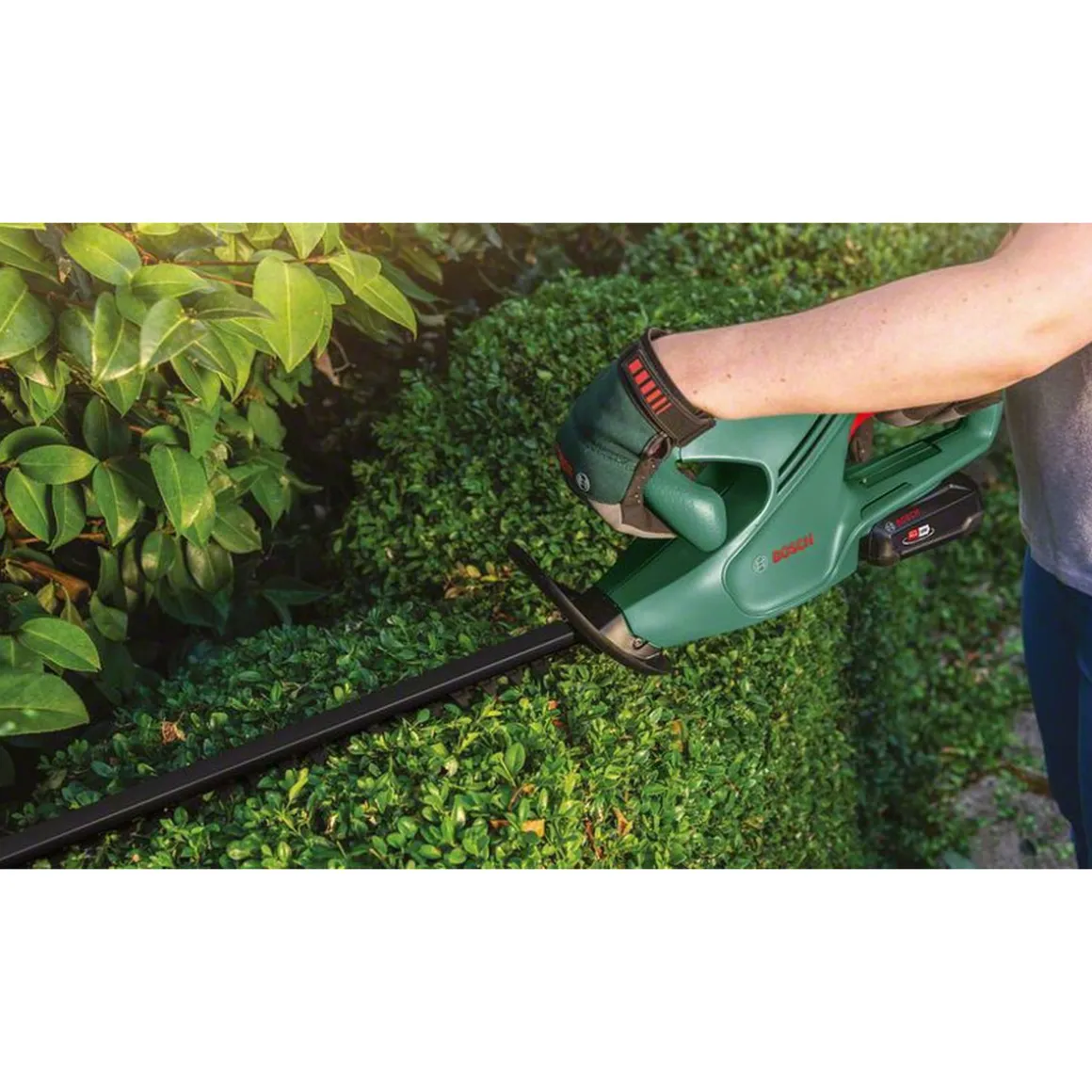 Bosch Akku-Heckenschere EasyHedgeCut 18-45 ohne Akku