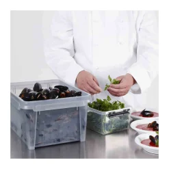 Box wasserdicht 12 l grau