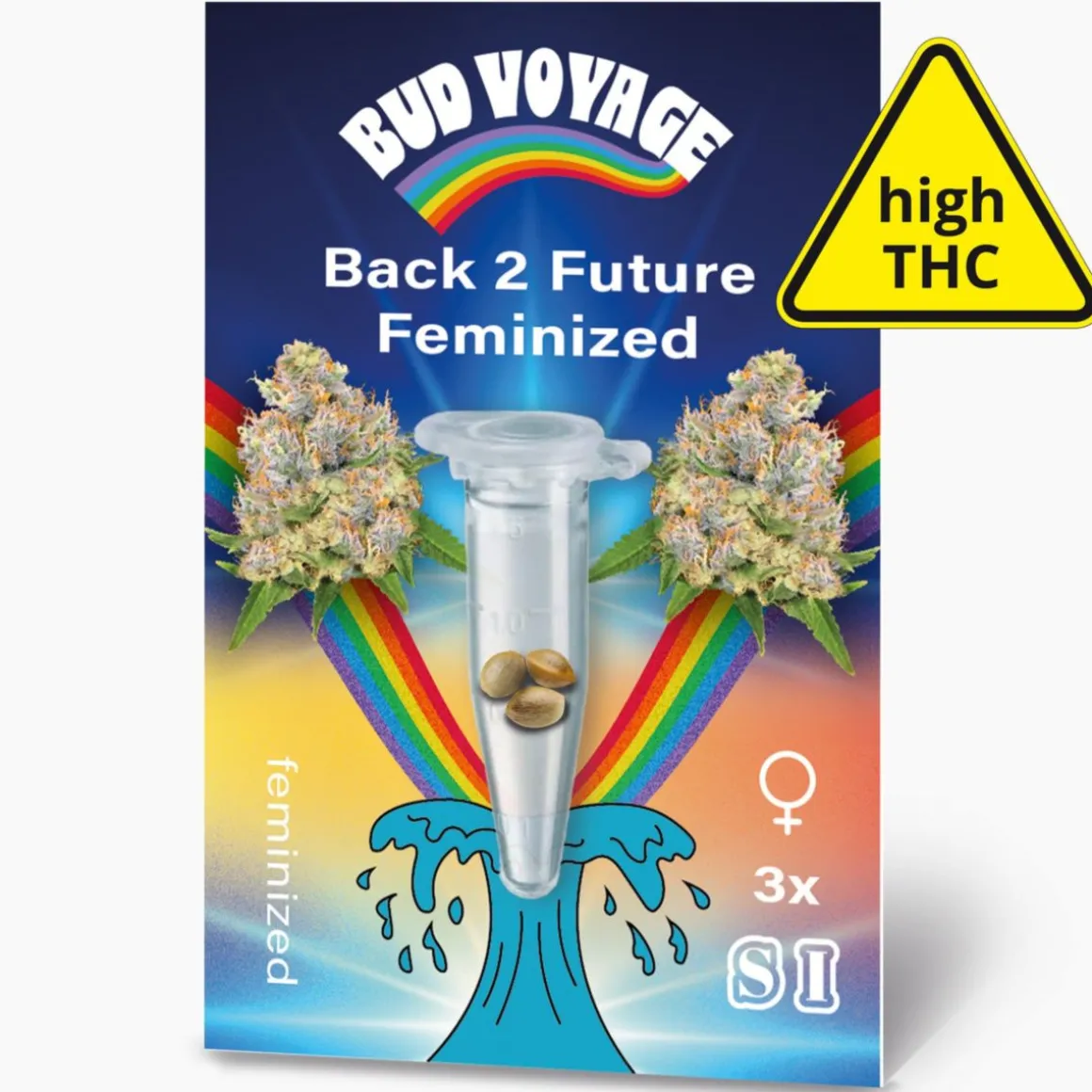 Bud Voyage Hanfsamen Back 2 Future Feminisiert