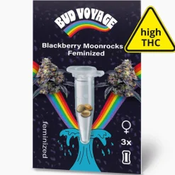 Bud Voyage Hanfsamen Blackberry Moonrocks Feminisiert