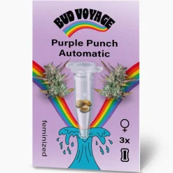 Bud Voyage Hanfsamen Purple Punch Auto