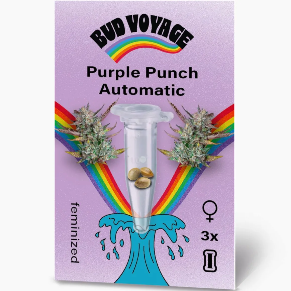 Bud Voyage Hanfsamen Purple Punch Auto