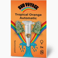 Bud Voyage Hanfsamen Tropical Orange Auto