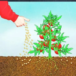 Compo BIO Tomaten Langzeit-Dünger mit Schafwolle 750 g