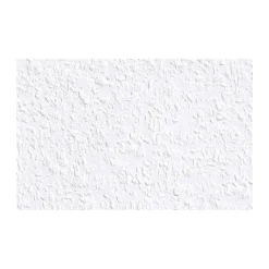 Erfurt Rauhfaser Classico 2000 x 53 cm