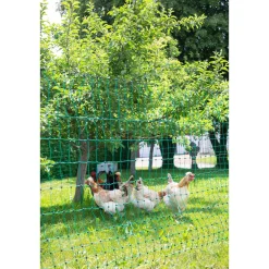 Geflügelnetz PoultryNet Doppelspitze 2500 x 106 cm dunkelgrün