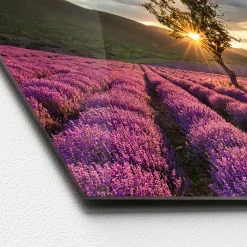Glas-Art Silence 50 x 125 cm Glasbild