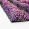 Glas-Art Silence 50 x 50 Glasbild