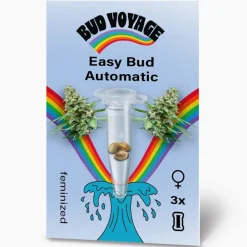 Hanfsamen BudVoyage Hippie Hanf- EasyBud Auto, 3 Samen