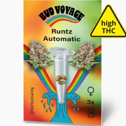 Hanfsamen BudVoyage Runtz Auto, 3 Samen