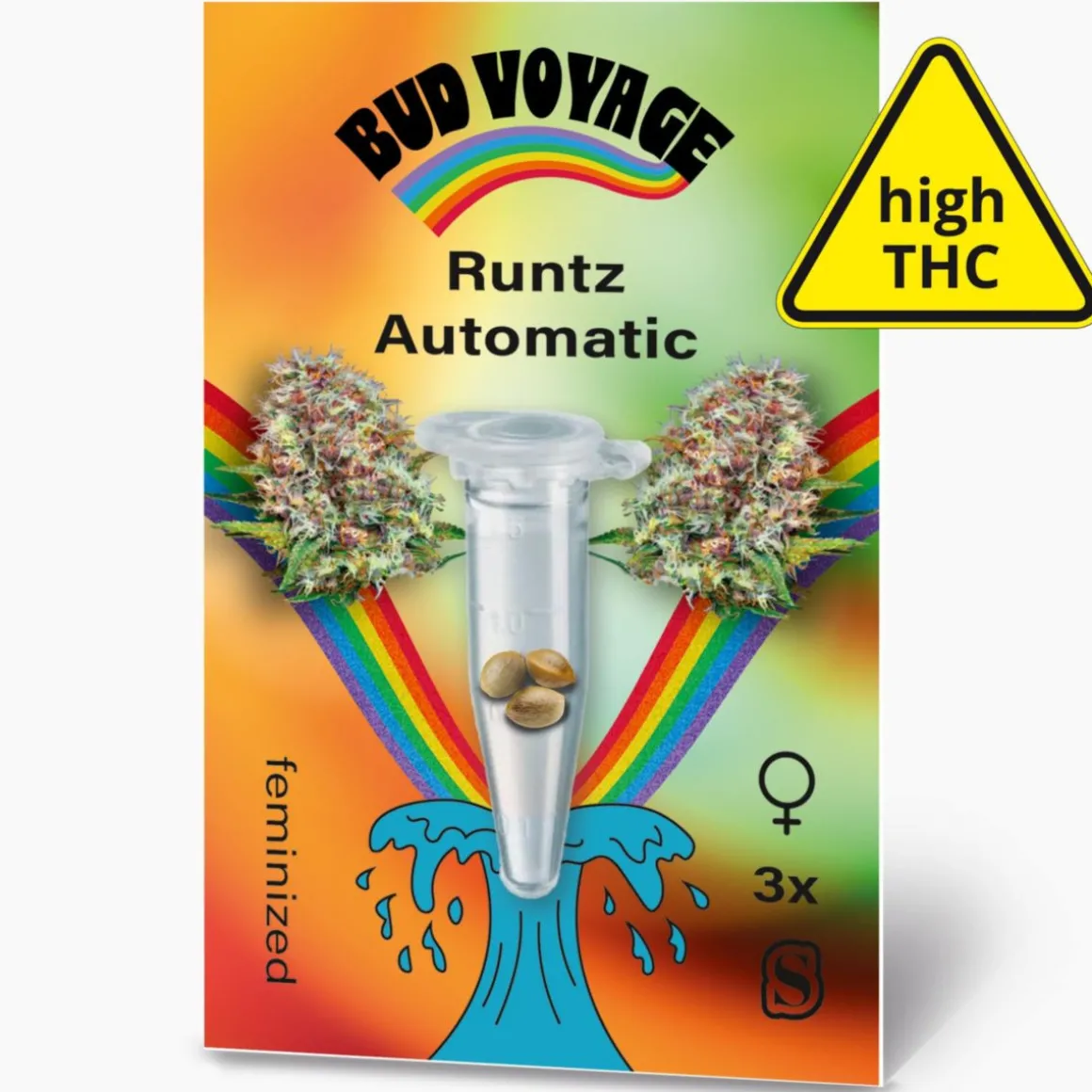 Hanfsamen BudVoyage Runtz Auto, 3 Samen