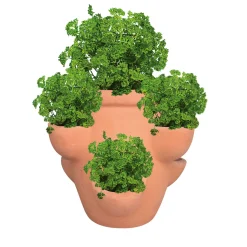 Haveson Erdbeer- und Kräutertopf Giardino