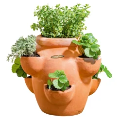 Haveson Erdbeer- und Kräutertopf Giardino