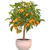 Haveson Pflanztopf Bavaria Durchmesser 50 cm