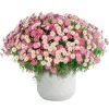 Haveson Pflanztopf Big Diamond 44 x 44 x 44 cm weiß