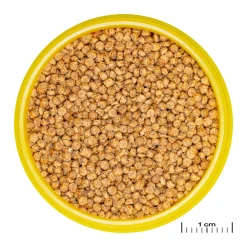 JBLPRONOVO CICHLID GRANO S 100ml CLICK