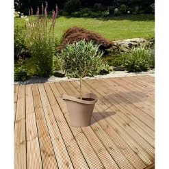 Kiefer-Terrassendiele zweiseitig genutet 200 x 14,6 x 2,6 cm