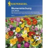 Kiepenkerl Blumenmischung Last Minute Profi-Line
