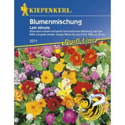Kiepenkerl Blumenmischung Last Minute Profi-Line