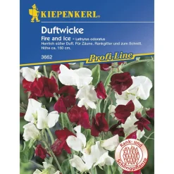 Kiepenkerl Edelwicken Fire und Ice Profi-Line
