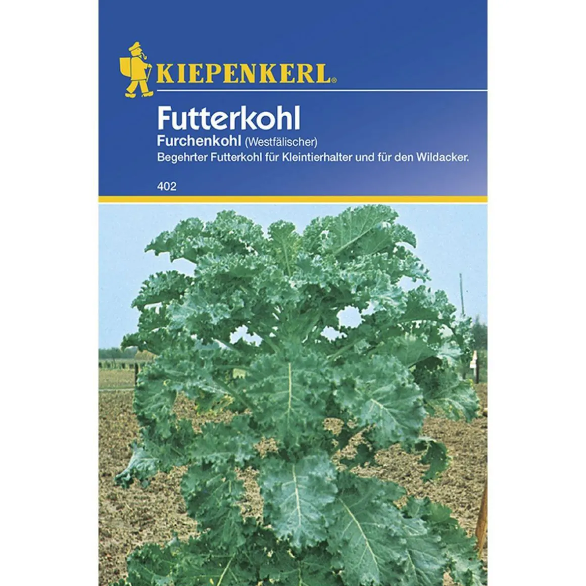 Kiepenkerl Futterkohl Westfälischer Furchenkohl