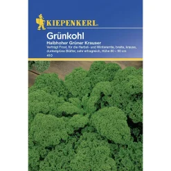 Kiepenkerl Grünkohl Halbhoher grüner krauser
