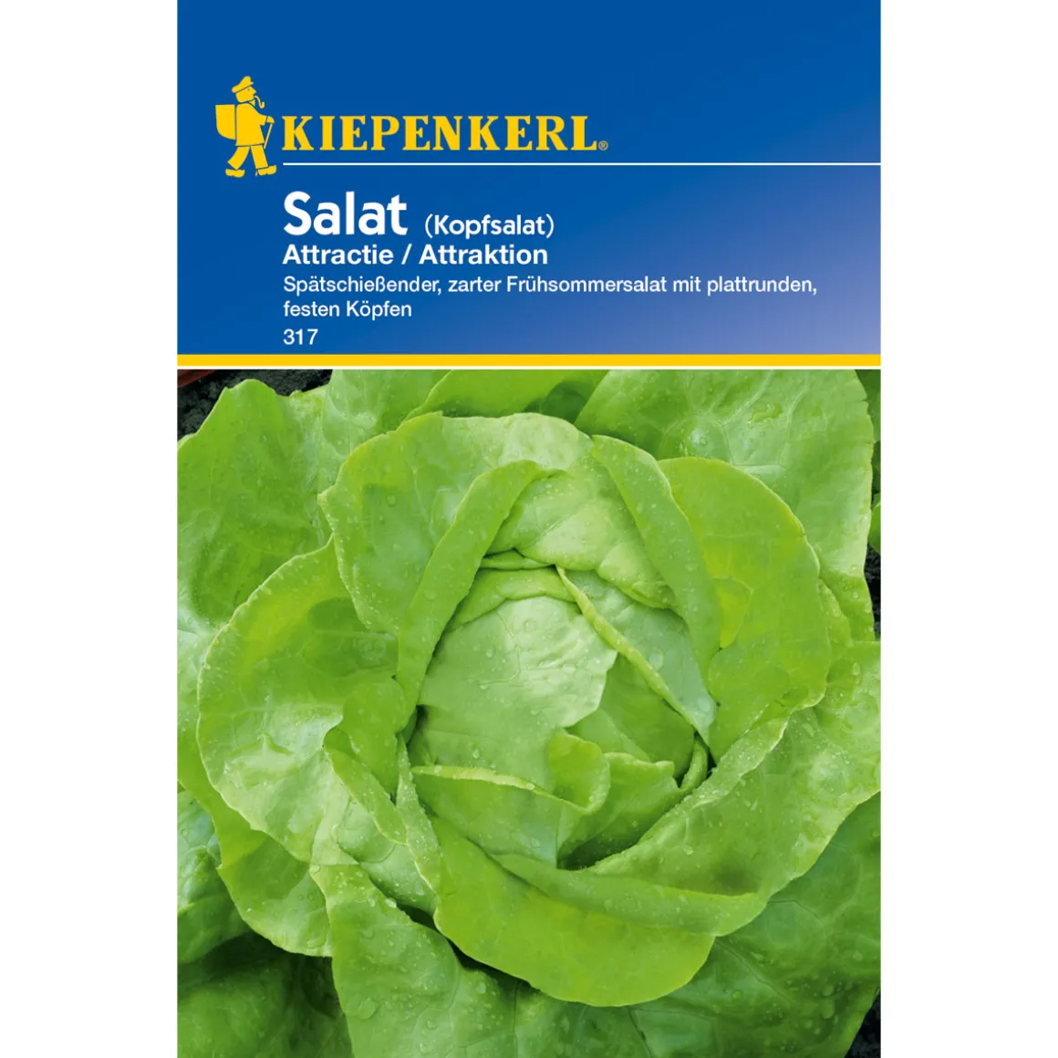 Kiepenkerl Kopfsalat Attractie
