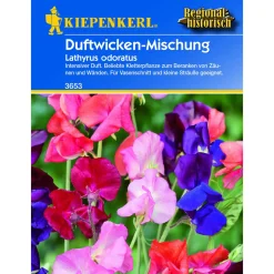 Kiepenkerl Lathyrus Mischung