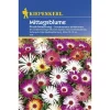 Kiepenkerl Mittagsblumen Dorotheantus Mischung