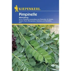 Kiepenkerl Pimpinelle mehrjährig