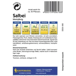 Kiepenkerl Salbei mehrjährig
