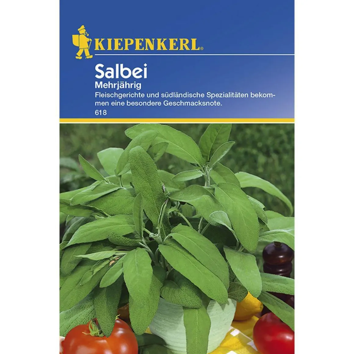 Kiepenkerl Salbei mehrjährig