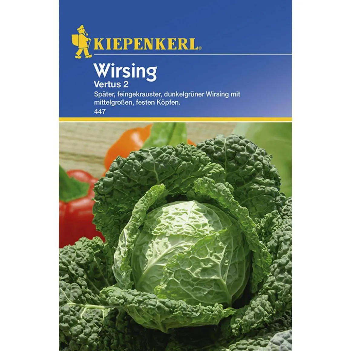Kiepenkerl Wirsing Vertus 2