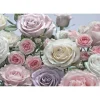 Komar Papier-Fototapete Floraison 8-teilig 368 x 254 cm