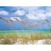 Komar Papier-Fototapete Ocean Breeze 8-teilig 368 x 254 cm