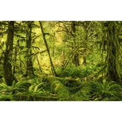 KomarVlies Fototapete Ancient World 400x250 cm