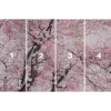 KomarVlies Fototapete Bloom 400x250 cm