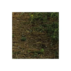 KomarVlies Fototapete Blütenzauberwald 450x280 cm