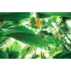 KomarVlies Fototapete Dschungeldach II 450x280 cm