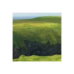 KomarVlies Fototapete Green Ireland 450x280 cm