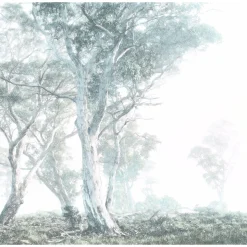 KomarVlies Fototapete Magic Trees 300x280 cm