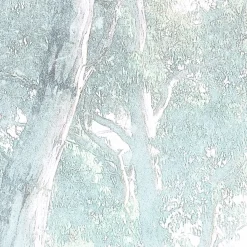 KomarVlies Fototapete Magic Trees 300x280 cm