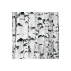KomarVlies Fototapete Woods 400x270 cm