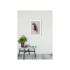 KomarWandbild Animals Paradise Parrot 50x70 cm